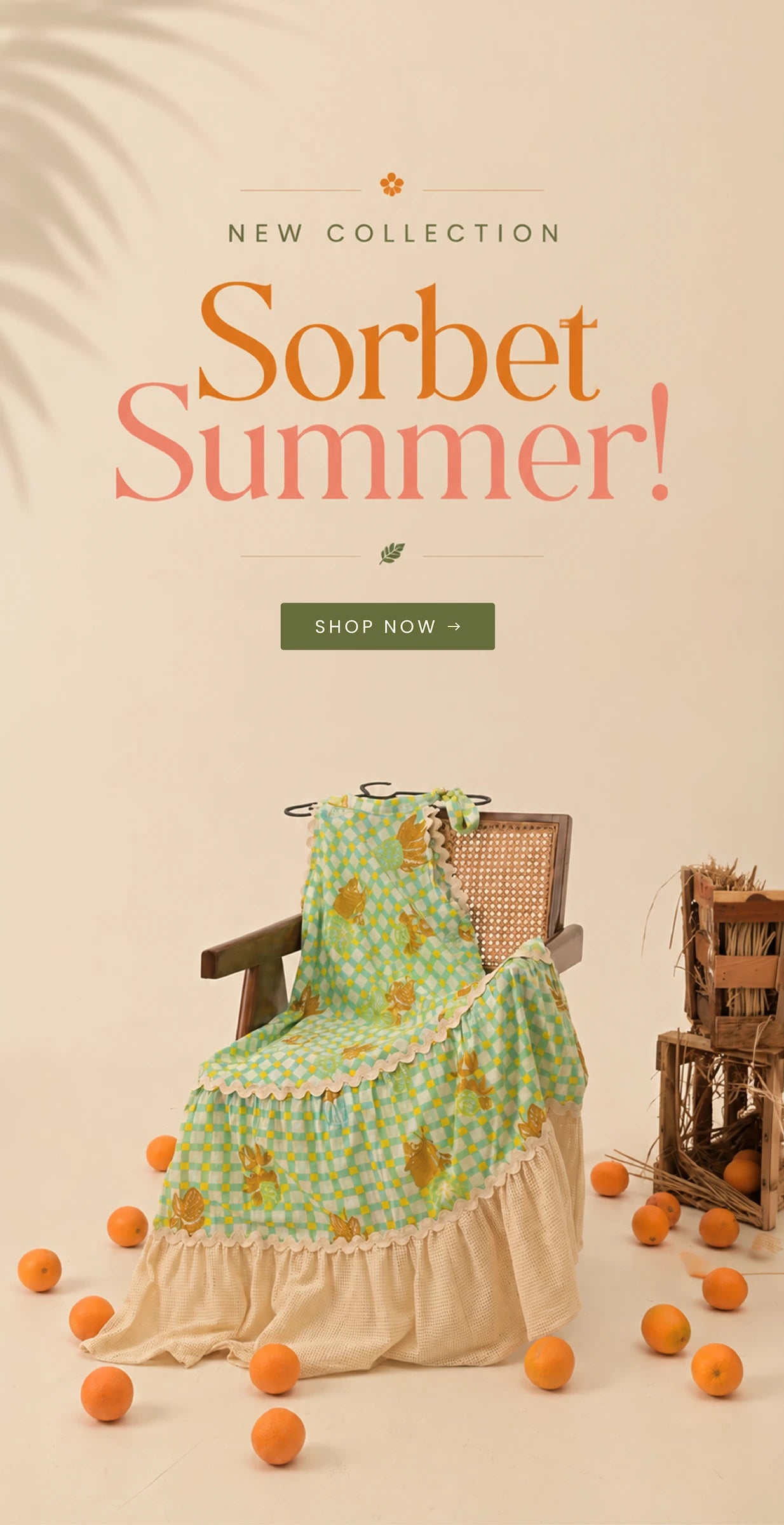 files/New_Collection_Sorbet_Summer_-03.webp